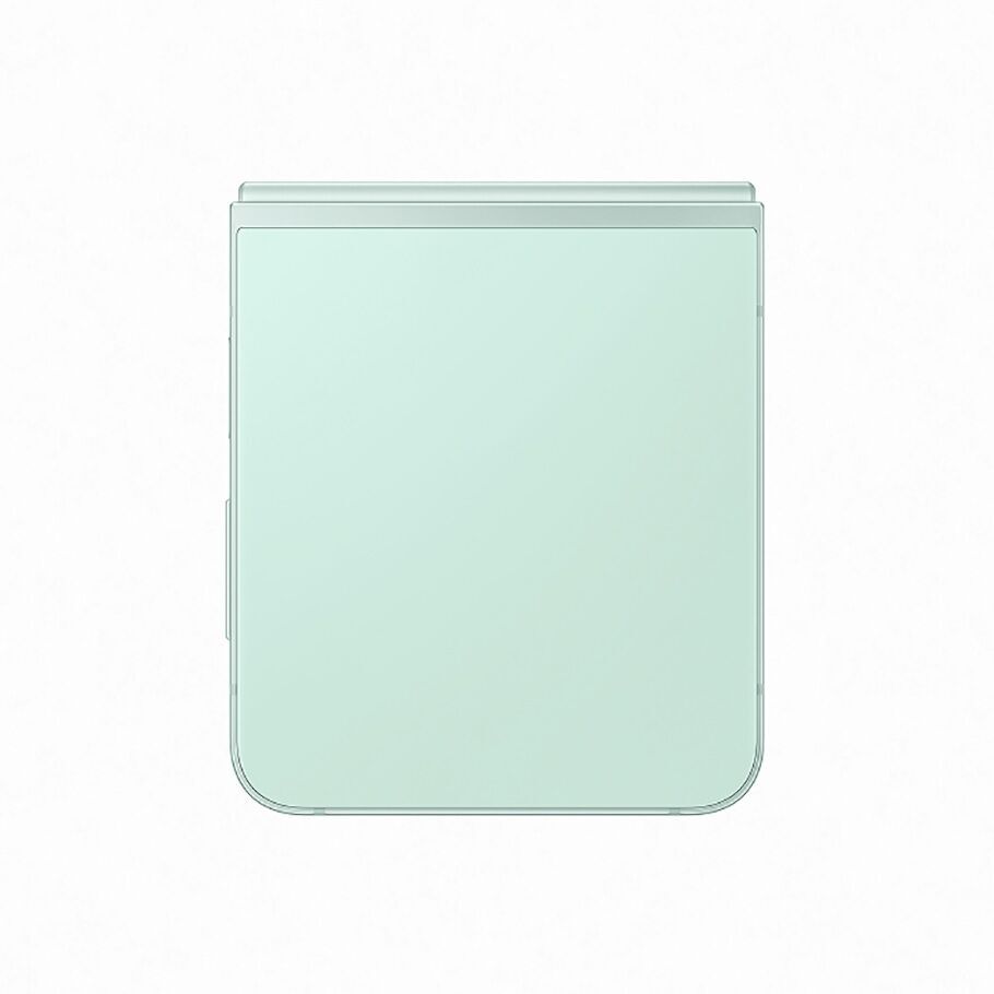 zflip6mint2