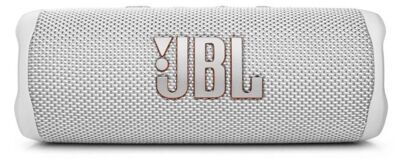 JBL Flip 6 Silver